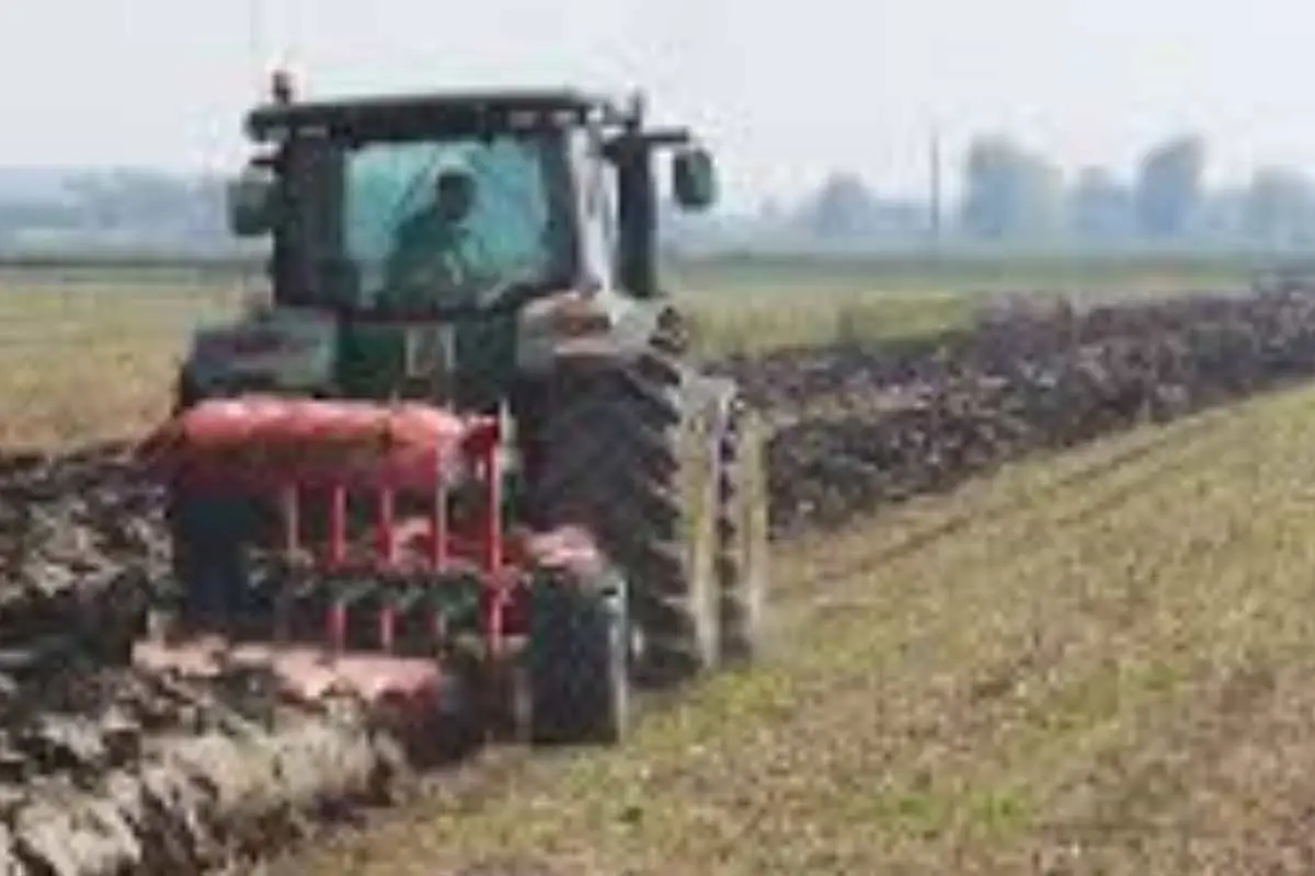 L’attrezzo indispensabile per lavorare la terra in profondità che stai dimenticando