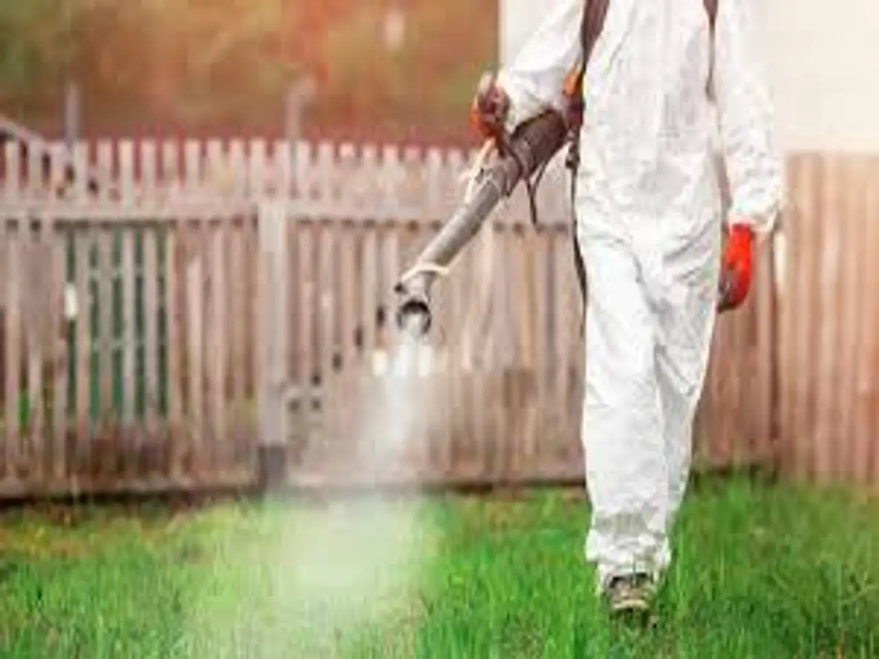 Hai prenotato una disinfestazione? Non fare questo errore prima dell’arrivo dei tecnici