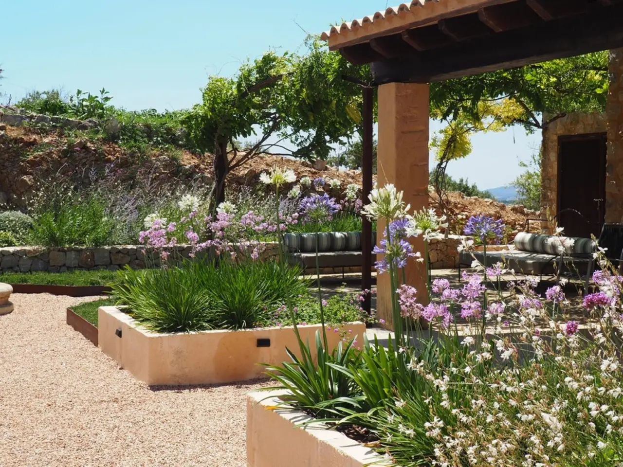 Non riempire le fioriere esterne solo con la terra: ecco l’errore che uccide le tue piante